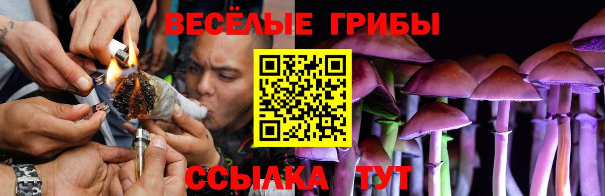 Псилоцибиновые грибы прущие грибы Ишим
